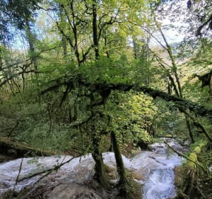 Balade des trois cantons - Arboys-en-Bugey - 3
