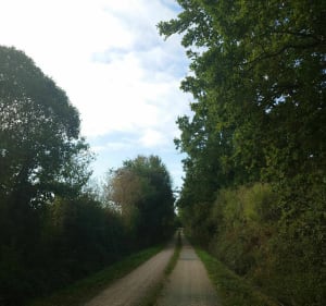 Vallée de l'Ornay, par Mouilleron-le-Captif et Venansault - La Roche-sur-Yon - 3