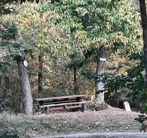 Balade d'automne depuis le Grasberg - Bergheim - 5
