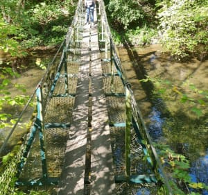 Randonnée dans le Ried alsacien - Daniel - 5