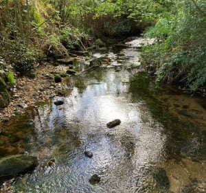 La vallée des seigneurs depuis Saint-Renan - Saint-Renan - 5