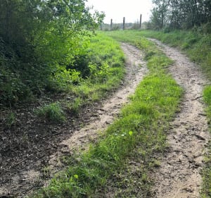 Rando VTT ensoleillée aux Choux - Les Choux - 5