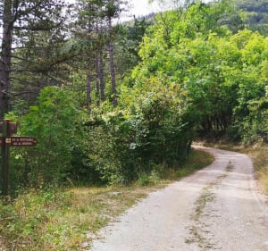 Matacharre - Ravin de la Mèque - Les Sérigons - La Roche-des-Arnauds - 3