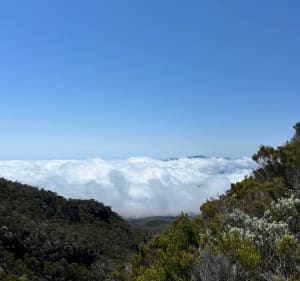 Montée au Piton des Neiges depuis Hell bourg Via Cap anglais - Salazie - 3