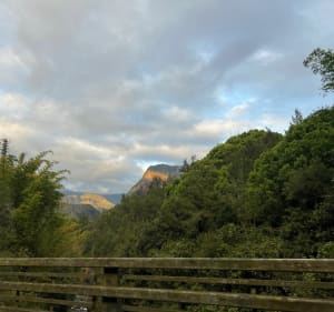 Montée au Piton des Neiges depuis Hell bourg Via Cap anglais - Salazie - 4