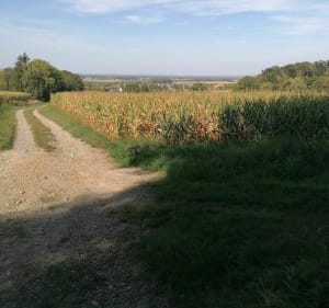 Balade à Magstatt-le-Bas, par Casemate Uffheim et bunkers - Magstatt-le-Bas - 3