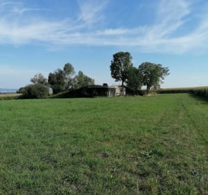 Balade à Magstatt-le-Bas, par Casemate Uffheim et bunkers - Magstatt-le-Bas - 5