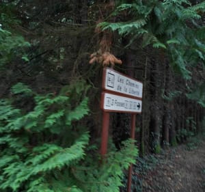 Balade en forêt de Saint-Sauvant - Rom - 3