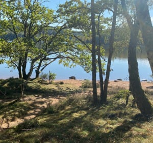Autour du lac de Saint-Agnan - Saint-Agnan - 5
