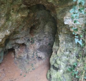 Boucle de Vitrac à Montfort - Vitrac - 4