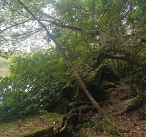 Boucle de Vitrac à Montfort - Vitrac - 5