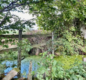 Belle balade en milieu rural aux alentours de Pré Grimaud - Arfeuilles - 5