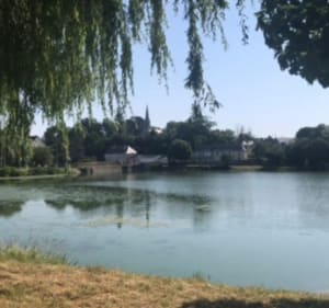 Belle balade autour de Château-La-Valliére - KRYSTINE - 3