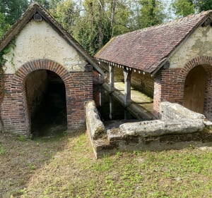 La ronde des fromages au bord de l’Armance - Neuvy-Sautour - 3