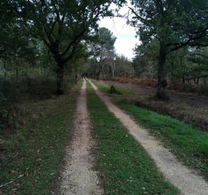 Balade en vélo aux étangs de la Bellebouche. - Mézières-en-Brenne - 3