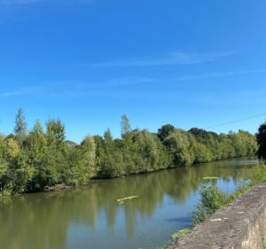 La Loire à vélo - des Ponts-de-Cé à La Bohalle - Les Ponts-de-Cé - 5