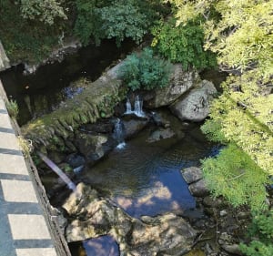 Balade entre Saint Pons de Thomières et Sain t Amans - Saint-Pons-de-Thomières - 3