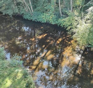 Balade entre Saint Pons de Thomières et Sain t Amans - Saint-Pons-de-Thomières - 4