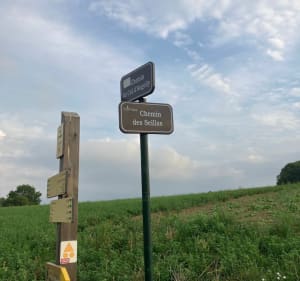 Marche de nettoyage dans la Combe de Sillingy, le col d’Angely, et Arzy - Sillingy - 4