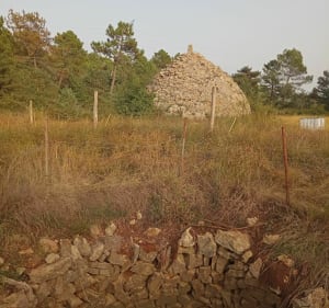 Borries Dolmen et les ânes de la ferme pédagogique - Corinne - 4