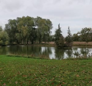 Gaudreville - Entre champs et forêts - Gaudreville-la-Rivière - 4