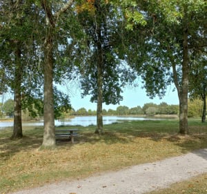 De Remouillé à Cugand - Remouillé - 3