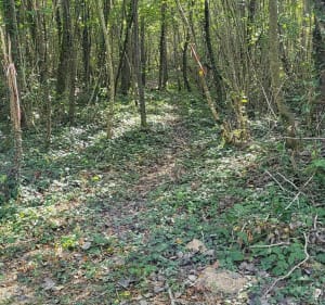 Balade VTT au Bois de Vescours, en famille - Saint-Bénigne - 3