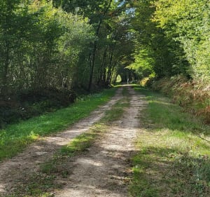 Balade VTT au Bois de Vescours, en famille - Saint-Bénigne - 4