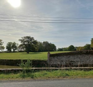 De Remouillé à Cugand - Remouillé - 5