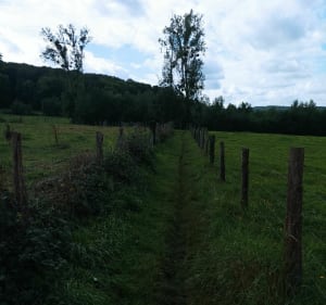 Boucle Liancourtoise - Liancourt - 5