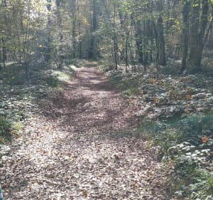 Sur les hauteurs de Buc - Buc - 3