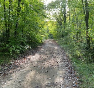 Dans les bois d’Eix, à proximité de Verdun - Eix - 3