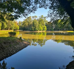 Belle randonnée au travers de la Bresse - Allériot - 5