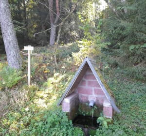 Le Linge depuis le Col de Wettstein - Orbey - 4