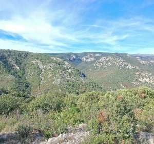 Shepherd's Lookout vanaf Devil's Bridge - Aniane - 5