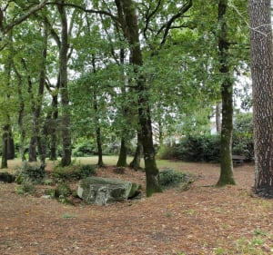 Entre océan et menhirs aux Rochelets à Saint-Brévin-les-Pins - Saint-Brevin-les-Pins - 3