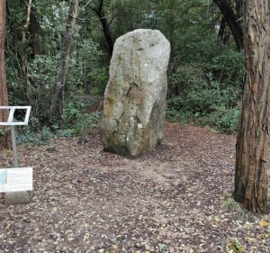 Entre océan et menhirs aux Rochelets à Saint-Brévin-les-Pins - Saint-Brevin-les-Pins - 4