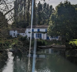 Belle balade à Coulon - Coulon - 5