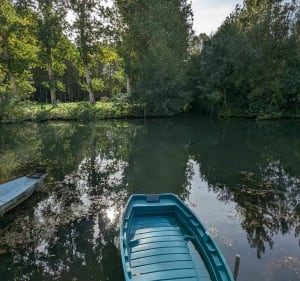 Belle balade à Coulon - Coulon - 3