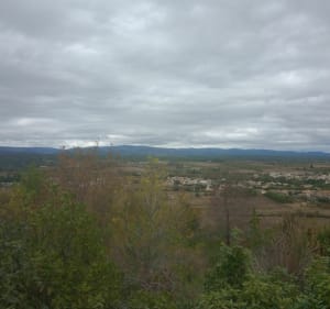 Entre vignes et garrigues - Claude - 3