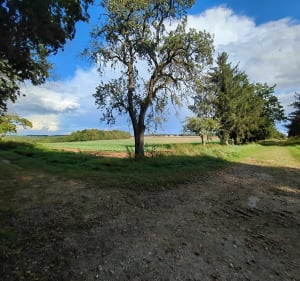 Boucle entre Fontenay et Chaumes - Fontenay-Trésigny - 4