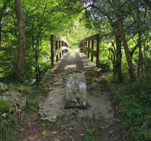 Boucle entre Fontenay et Chaumes - Fontenay-Trésigny - 5