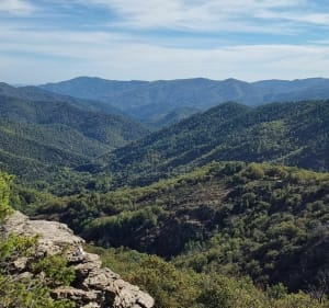 Le parcours des châtaigniers par Vimbouches - Ventalon en Cévennes - 3
