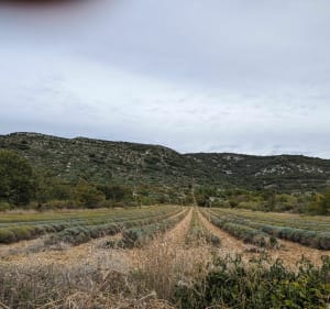 Vous qui aimez grimper en Ardèche et en prendre plein la vue - Saint-Remèze - 3