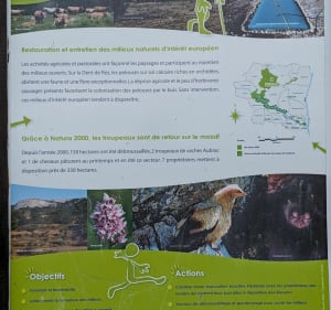 Vous qui aimez grimper en Ardèche et en prendre plein la vue - Saint-Remèze - 4