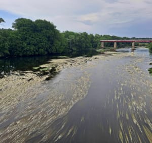 Découverte du Bourbonnais et du canal latéral à la Loire - Diou - 5