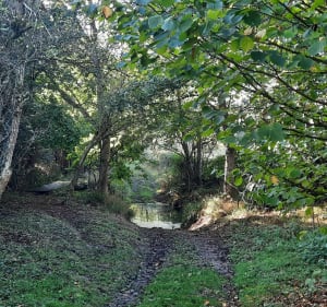 Parcours "les 4 rivières" Pouzy-Mesangy 03320 - Pouzy-Mésangy - 3