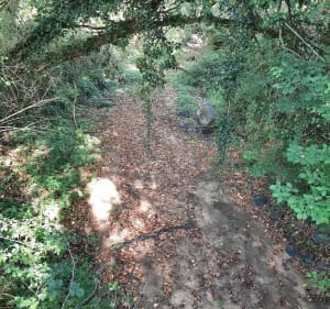 Parcours "les 4 rivières" Pouzy-Mesangy 03320 - Pouzy-Mésangy - 4
