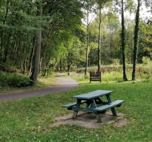 D'Évreux à Gauville par champs et forêts - Évreux - 3