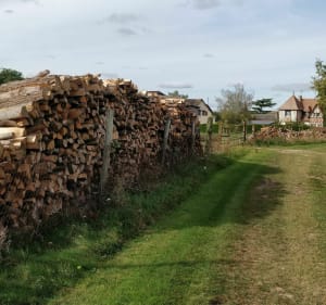 D'Évreux à Gauville par champs et forêts - Évreux - 4
